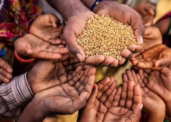 Poverty Alleviation And The Need For Accountability
