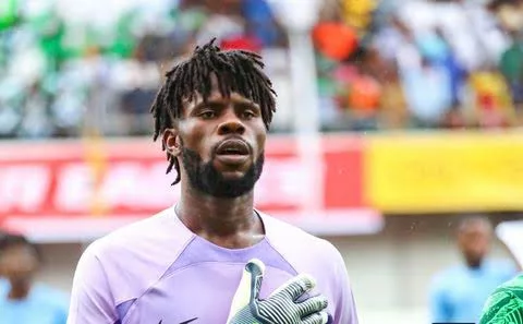 AFCON 2023: Uzoho Favoured To Start In Goal Against Equatorial Guinea 1 uzoho jpg