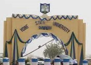 Group Seeks Justice For Slain Yobe Varsity Female Staff