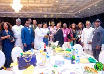 Chevron Nigeria Wins Sustainable Energy Business Award