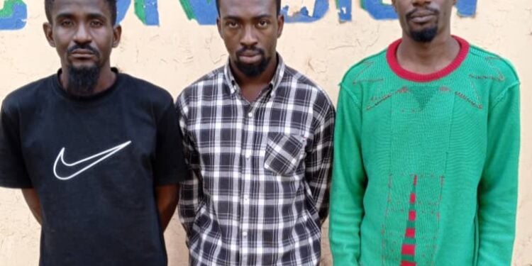 The suspects