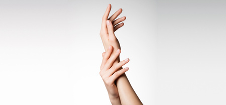 Making Profit Hand Modelling 1 2 what is a hand model