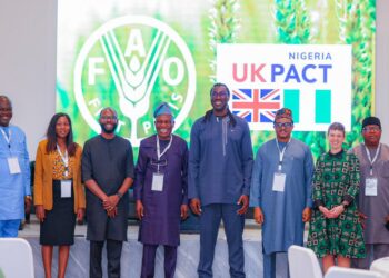 FAO, UK PACT Join Forces To Protect Nigeria’s Mangroves