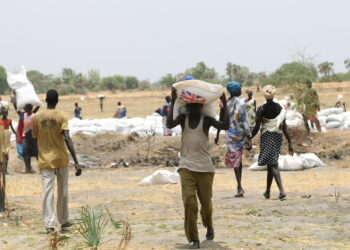 The Urgent Need For Food In The Land