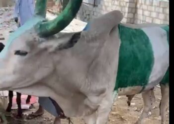 AFCON: APC Youth Leader Plans Party For Super Eagles At Abuja’s Party Secretariat