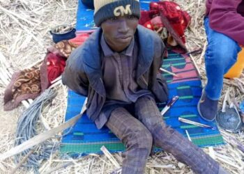 Kano Police Nab Kaduna Bandit Fleeing Rival Gang Feud