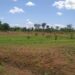 Desertification: Minister Urges Increased Collaboration To Restore Degraded Lands