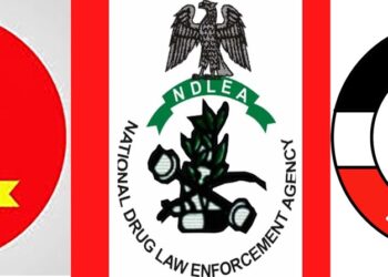 Army, NDLEA, NSCDC To Combat Drug Abuse, Vandalism In Kano