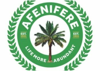 Economic Crunch: Afenifere Wants MDAs To Patronise Local Goods, Vehicles