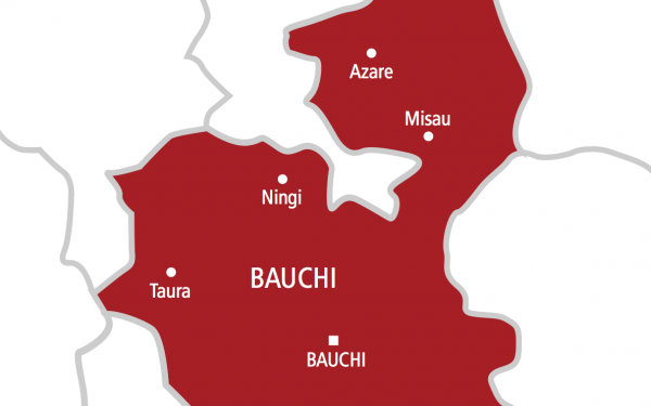 Bauchi Agency Seeks Monarchs’ Support Against Maternal Mortality 1 Bauchi state map 1 600x375 1