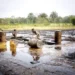 Navy Arrests 6 Suspected Oil Thieves In Akwa Ibom