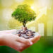 Unlocking Financial Freedom