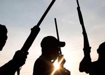 ISWAP Terrorists Kill Police Inspector, 2 Others In Yobe