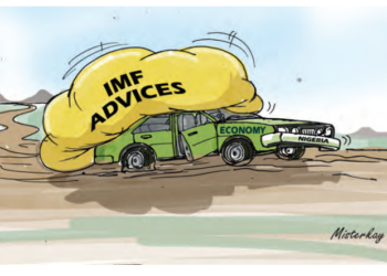 Does The IMF Care About Us?