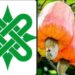 Stop Harassing Cashew Farmers In North-Central, NEYGA Warns Ajanaku 5 Stop Harassing Cashew Farmers In North-Central, NEYGA Warns Ajanaku