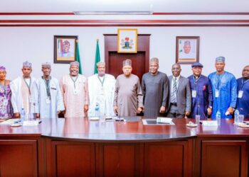 Border Security, Dev’t Key To National Security, Says VP Shettima