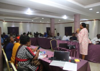 Nigeria Needs $26.5m To Tackle Anaemia In Pregnant Women
