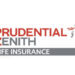 Prudential Zenith Life Commits To Inclusion, Social Responsibility 5 Prudential Zenith Life Commits To Inclusion, Social Responsibility