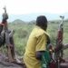 North-East Lawmaker Indicted In Banditry, Abductions 5 North-East Lawmaker Indicted In Banditry, Abductions