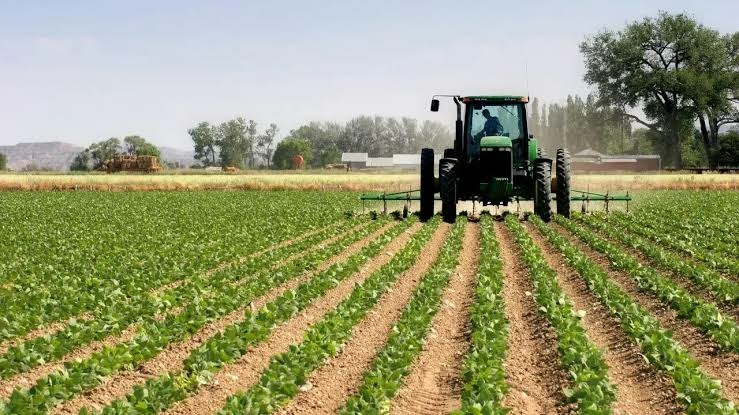 Food Inflation: Federal Govt To Create 10m Jobs In Agriculture 1 IMG 5540