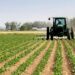 Food Inflation: Federal Govt To Create 10m Jobs In Agriculture
