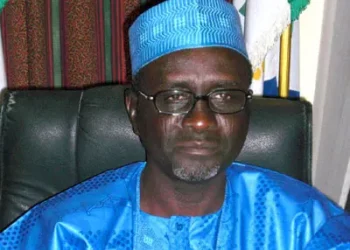 We Want Grassroots Security Outfit Not State Police, Says Shekarau