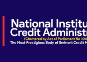 Credit Economy To Boost Entrepreneurship – NICA