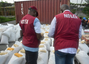 NDLEA Arrests 2 Over Seized Cocaine, Others