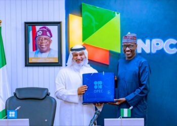OPEC To NNPC: Grow Oil Output To Tap From $14trn Global Investment Drive