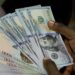 Kano Forex Traders Limit Transaction Period To Save Naira