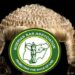 2023 NBA Conference: Unpaid Vendors Threaten Protest