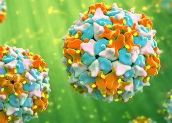 Stakeholders Vow To End Polio Virus In Northern Nigeria