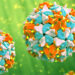 Stakeholders Vow To End Polio Virus In Northern Nigeria