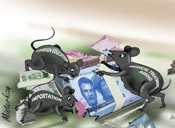 What’s The Naira Worth? 1 Screenshot 2024 02 29 055246