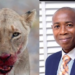 Lion Kills Zookeeper In Ife 5 Lion Kills Zookeeper In Ife