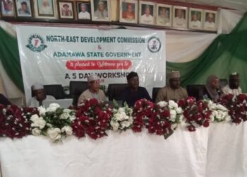 NEDC, Adamawa Gov’t Train 415 On Climate Change Mitigation
