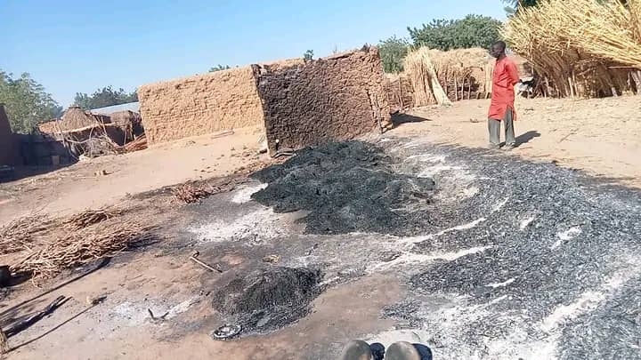 1 Dead, Houses Burnt As Suspected Herdsmen Attack Yobe Community 1 WhatsApp Image 2024 02 13 at 15.13.50