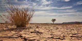 Climate Change: NGO Seeks Decarbonise Cropping System 1 download 3