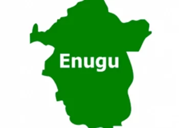 Group Rejects Proposed Cattle Ranch Project In Enugu Community