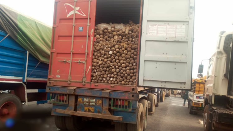 Economic Hardship: Allow Food Importation, Group Urges Tinubu 1 food truck