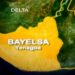 Indiscriminate Bush Burning, Mysterious Weather Cause Health Panic In Bayelsa 5 Indiscriminate Bush Burning, Mysterious Weather Cause Health Panic In Bayelsa