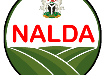 NALDA Commissions 120 Housing Units, Empowerment Centres For Borno Farmers