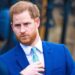 UK Security Levels: Why Prince Harry Lost Court Challenge 5 UK Security Levels: Why Prince Harry Lost Court Challenge