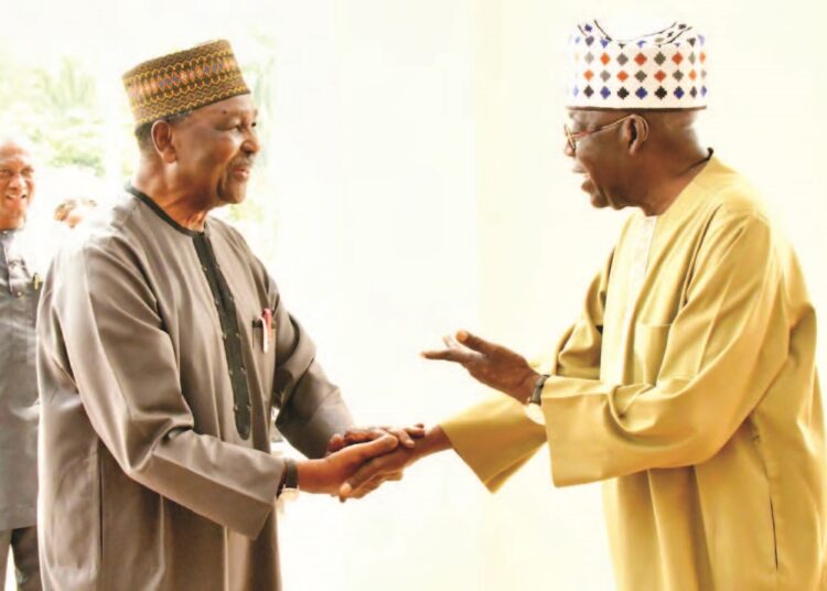 President Bola  Ahmed
Tinubu and former
Head of State, Gen
Yakubu Gowon
during a visit to the
Presidential Villa
Abuja, yesterday. PHOTO BY REMI
AKUNLEYAN