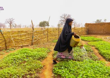 World Bank Scores Sokoto High On Agric, Climate Projects