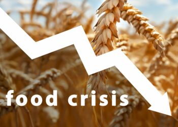 Accord Party Tasks Tinubu On Food Crisis
