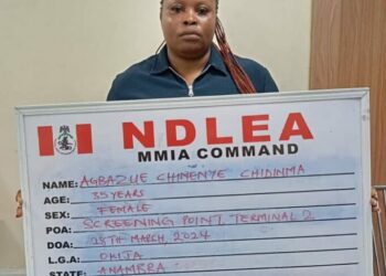 NDLEA Nabs Woman Over Attempt To Smuggle Cannabis Disguised As African Salad