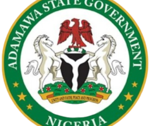 Adamawa Releases N100m To Tackle Malnutrition