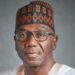 Govs Call For State Policing, Action On Illegal Child Adoption