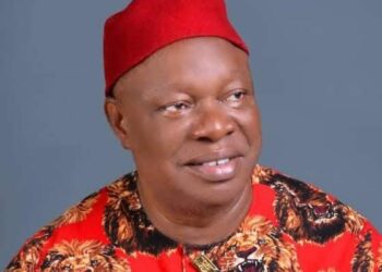 Saboteurs Crippling Nigeria’s Economy – Sen Ani